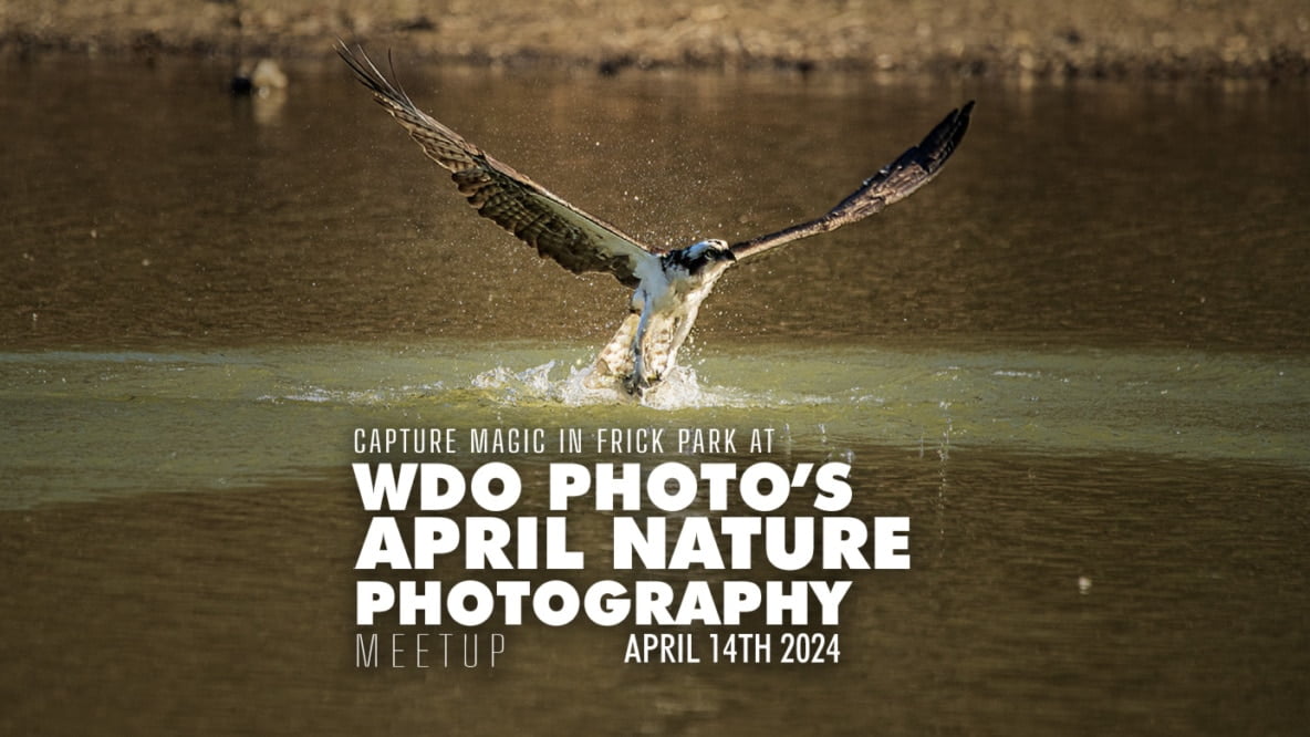 April Nature Photography Meetup in Frick Park