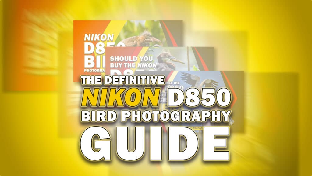 Nikon D850 Bird Photography Guide