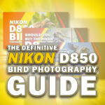 Nikon D850 Bird Photography Guide