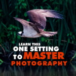 Learn this one setting to master photography