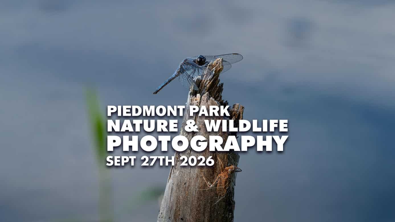Featured image for “Piedmont Park Nature & Wildlife Photography Meetup”