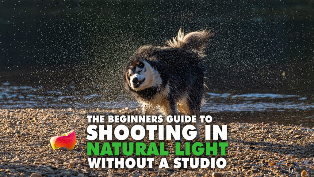 Shooting In Natural Light