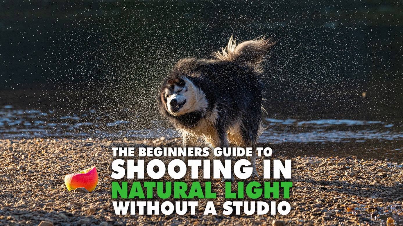 Shooting In Natural Light