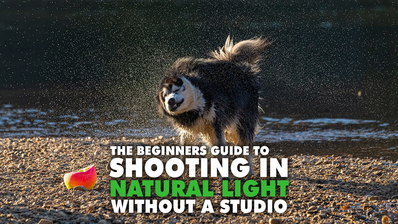 Shooting In Natural Light