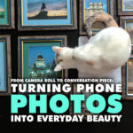 Turning Phone Photos Into Everyday Beauty