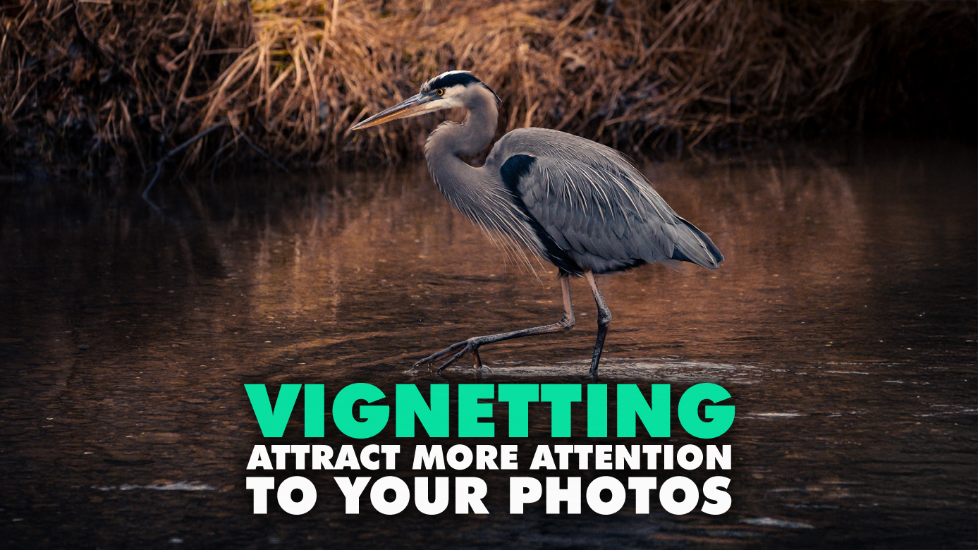 Vignetting Attracts Attention To Your Photos