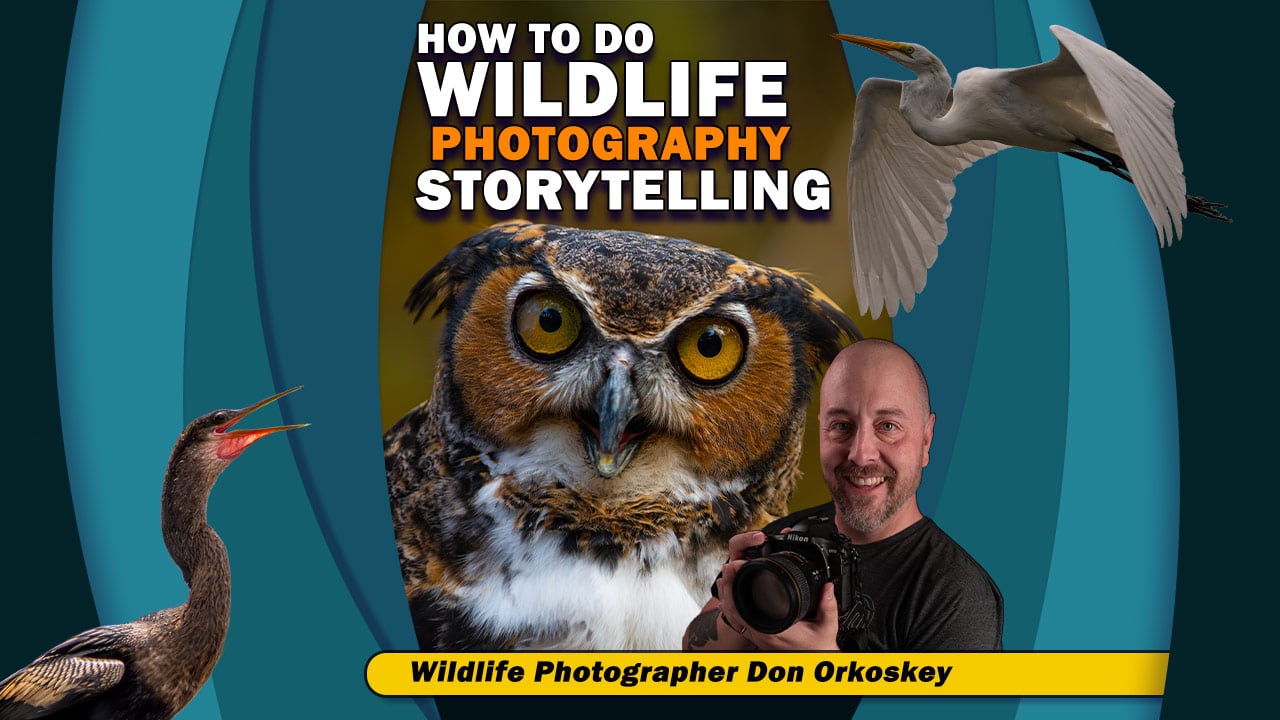 Good Wildlife Photography Storytelling