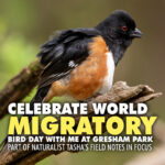 World Migratory Bird Day