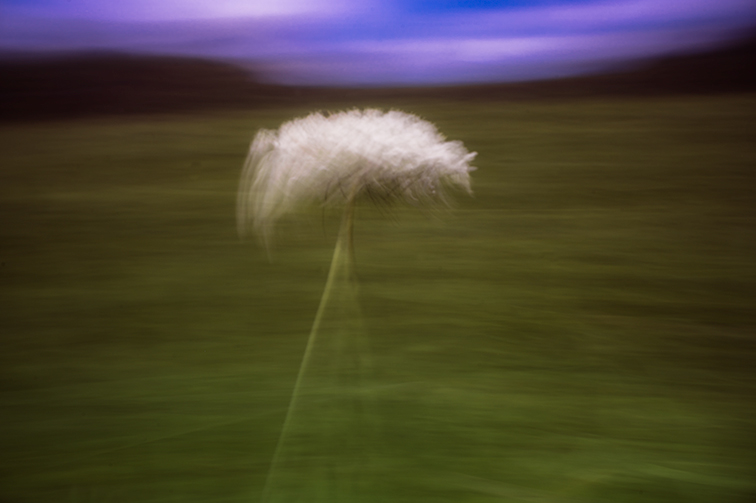Clouds - Abstract Nature Photography