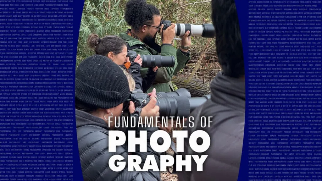 fundamentals of photography