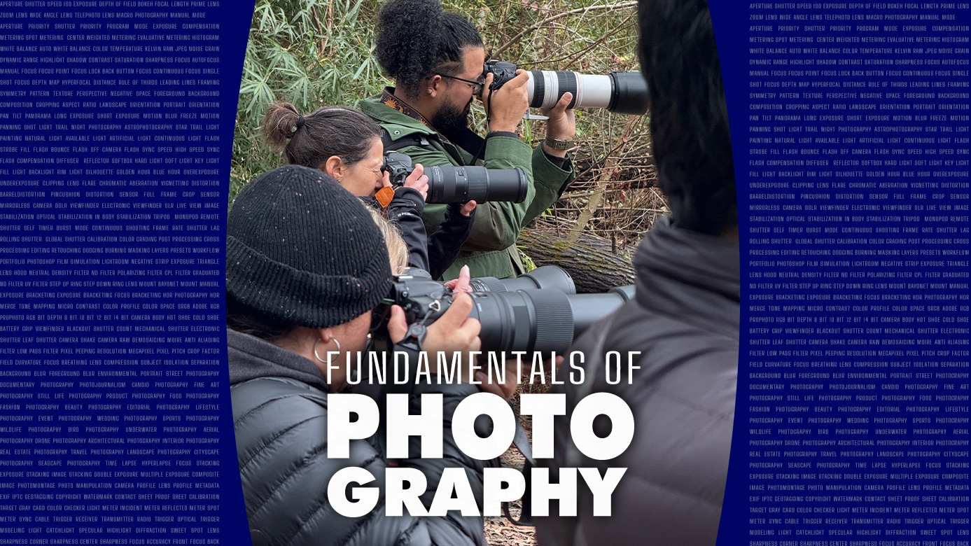 fundamentals of photography