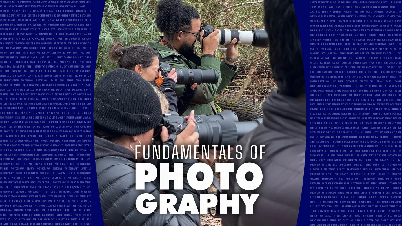 fundamentals of photography