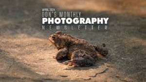 Don's photography newsletter cover April 2024