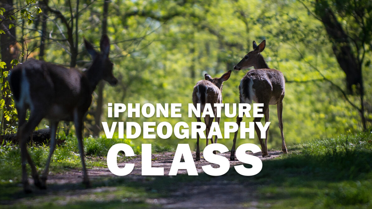 iPhone nature videography class
