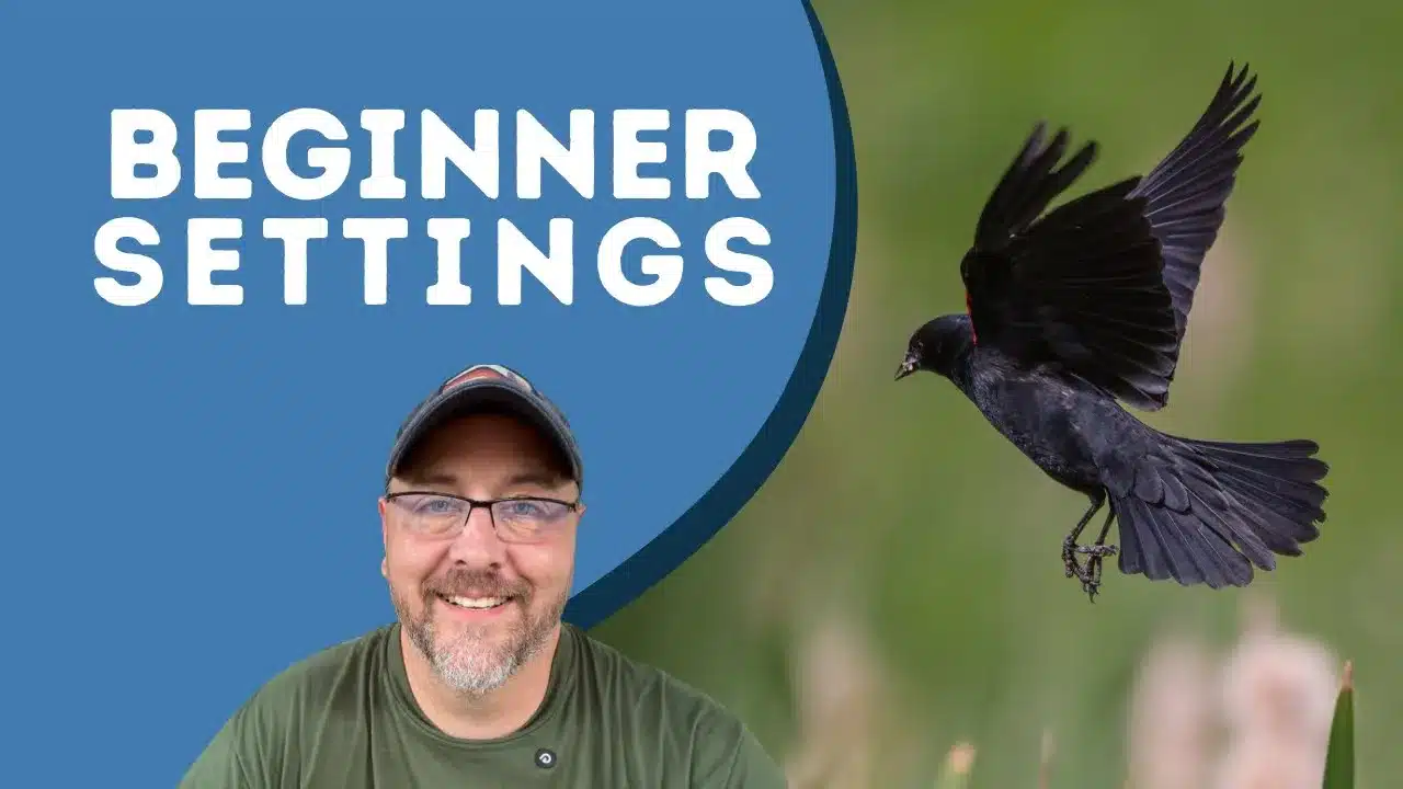 Featured image for “Bird Photography Settings For Beginners”